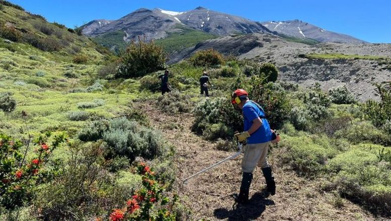 Torres del Paine: Hotel Las Torres Patagonia, AMA Torres del Paine, Conaf y un grupo de voluntarios a través de Conservation VIP trabajan en el nuevo sendero del Parque Nacional