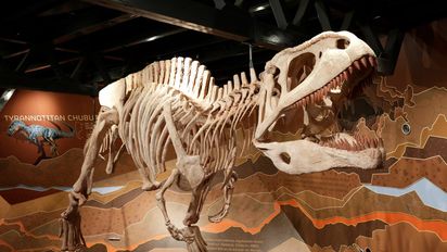 Para las próximas vacaciones la ciudad de Córdoba te propone una multiplicidad de actividades para disfrutar con los más pequeños de la familia.&nbsp;