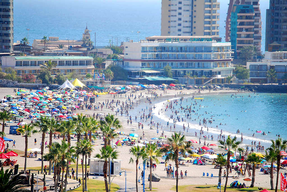 Playa Cavancha combina mar tranquilo, palmeras y una activa costanera en pleno centro de Iquique.