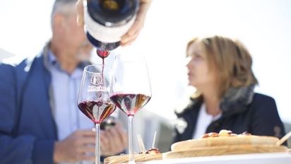 Conoce la programación de las Fiestas de la Vendimia 2025 a lo largo de Chile&nbsp;