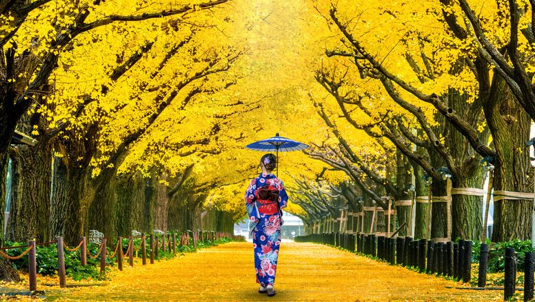 La oferta 2026 de Abreu América Latina abarca un portafolio de destinos seleccionados por su riqueza cultural y singularidad, incluyendo regiones como el Cáucaso, Sri Lanka, Indonesia, Indochina, Papúa Nueva Guinea, Nepal y Bután, así como Perú, Uzbekistán, México, India, Japón y Tailandia. &nbsp; &nbsp;