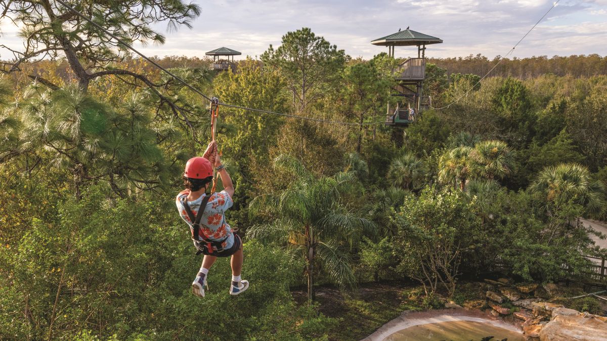 Los entornos naturales de Kissimmee también se disfrutan a pie o en bicicleta.