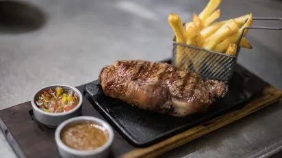 Descubrí la increible 