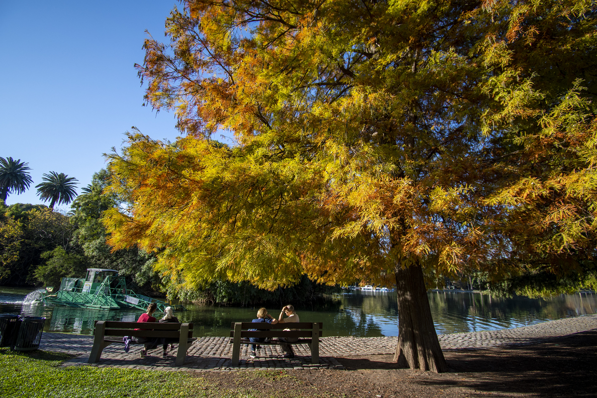 Buenos Aires cuenta con grandes propuestas para vivir este otoño en la ciudad.