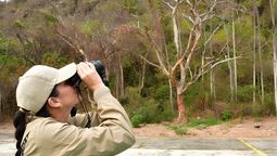Guayaquil impulsa el avistamiento de aves.