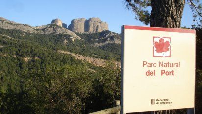 Cataluña gestionará una gran porción de los fondos Next Generation para la estrategia sustentable.