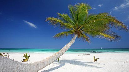 RIU abre hoteles en Cancún con protocolos que garantizan estadías seguras.