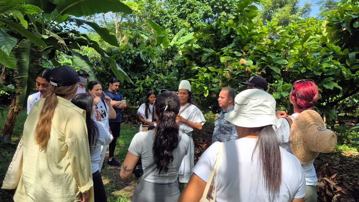 Un recorrido por hoteles, recintos y atractivos culturales confirmó por qué Santa Marta se proyecta como un destino competitivo para turismo MICE.