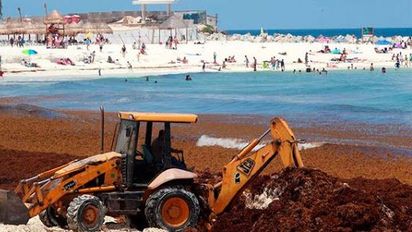 Riviera Maya: AHRM firma acuerdo para mitigación de sargazo en Caribe mexicano