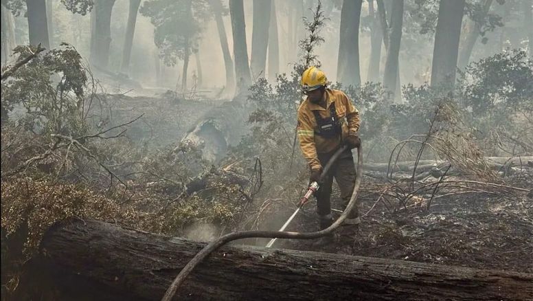 Por riesgos de incendios forestales, Conaf anunció cierre de Parque Nacionales.