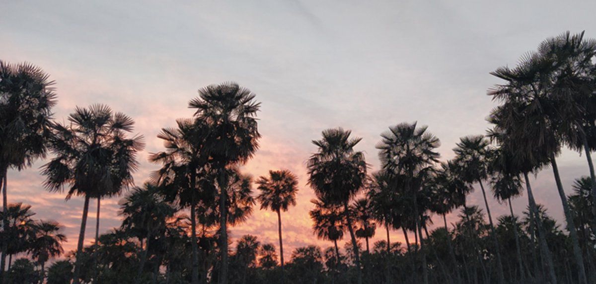 Parque Nacional Laguna El Palmar.