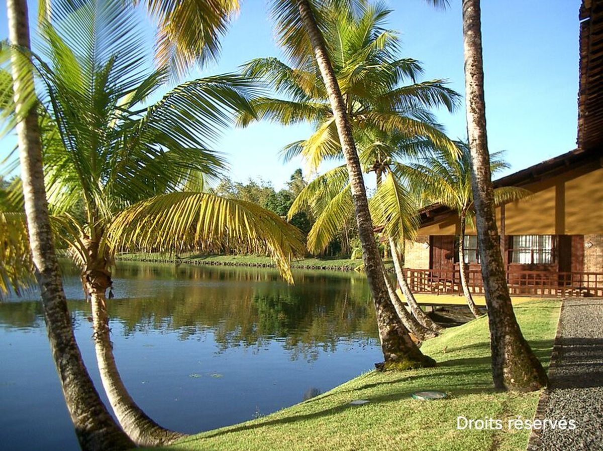 Relax y servicios de alta gama, ideales para el mejor descanso.