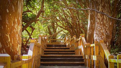 El parque nacional de la Patagonia que parece sacado de una película de Disney