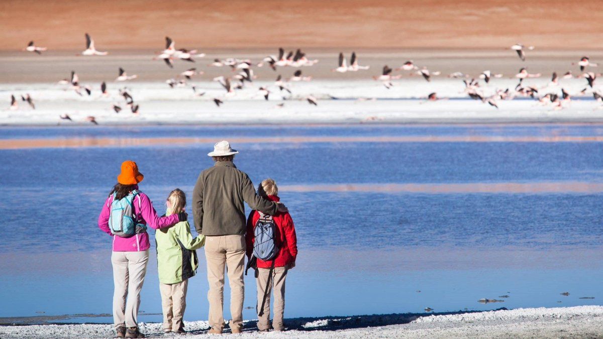 En las redes sociales de Travel Sale Argentina se anunciaran descuentos de último momento. 