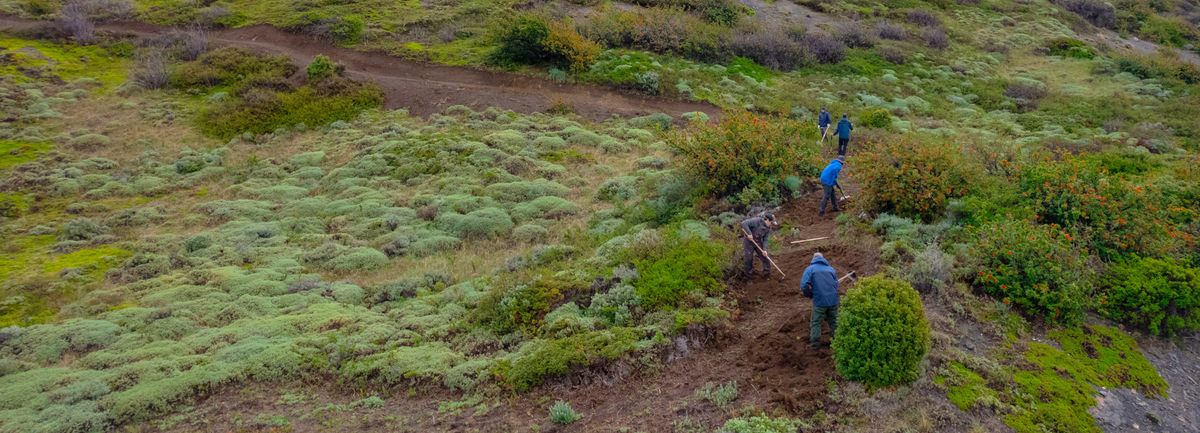 Cuadrillas comenzaron a trabajar en el sendero Base en el mes de noviembre. - Ladevi Medios y Soluciones Cuadrillas comenzaron a trabajar en el sendero Base en el mes de noviembre.