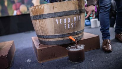 La vuelta de Vendimia Fest Santiago contará con algunas exigencias sanitarias para las personas que asistan al evento. La vuelta de Vendimia Fest Santiago contará con algunas exigencias sanitarias para las personas que asistan al evento.