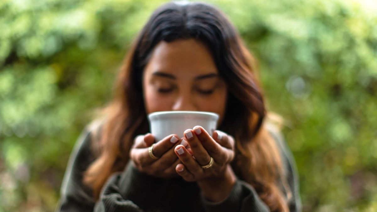 Vacaciones en el Caribe: descubrí un destino que sorprende con su delicioso café y con experiencias increíbles.