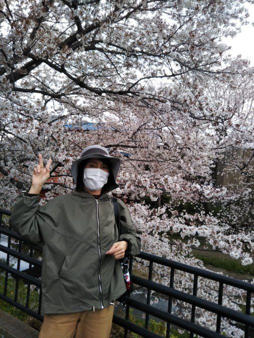Los guías japoneses y la belleza de la floración de este año.&nbsp;