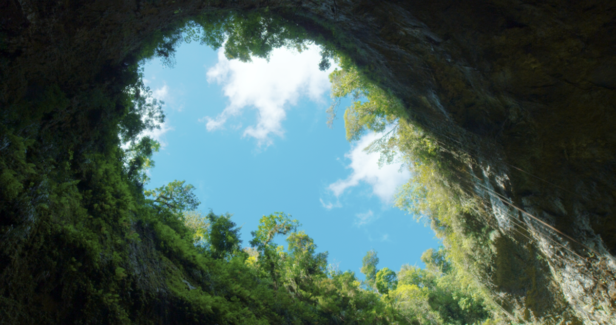 Puerto Rico sobresale como un destino ideal para el ecoturismo por sus maravillosos atractivos naturales como las cavernas del río Camuy.