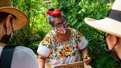 El Jardín Melipona en Mérida, Yucatán.