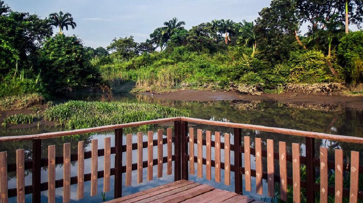 El Ministerio del Ambiente, Agua y Transición Ecológica informó cuáles son las áreas naturales protegidas que actualmente no reciben visitantes. - Ladevi Medios y Soluciones El Ministerio del Ambiente, Agua y Transición Ecológica informó cuáles son las áreas naturales protegidas que actualmente no reciben visitantes.