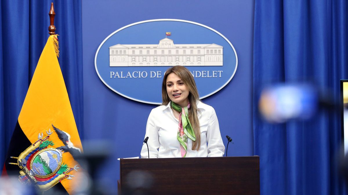 Carolina Jaramillo, vocera del Gobierno, se refirió al impacto que tendrá la eliminación del subsidio al combustible de los aviones en el costo de los tickets aéreos.&nbsp;