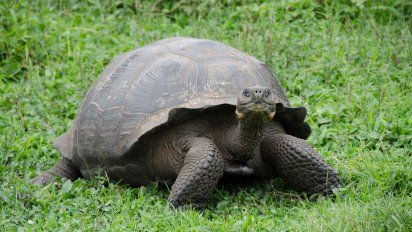 5 paseos que debes hacer en las islas Galápagos