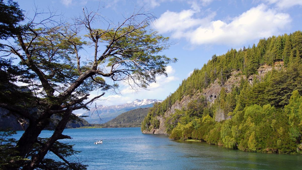 Chubut es la primera provincia de Argentina en formar parte de la Declaración de Glasgow.