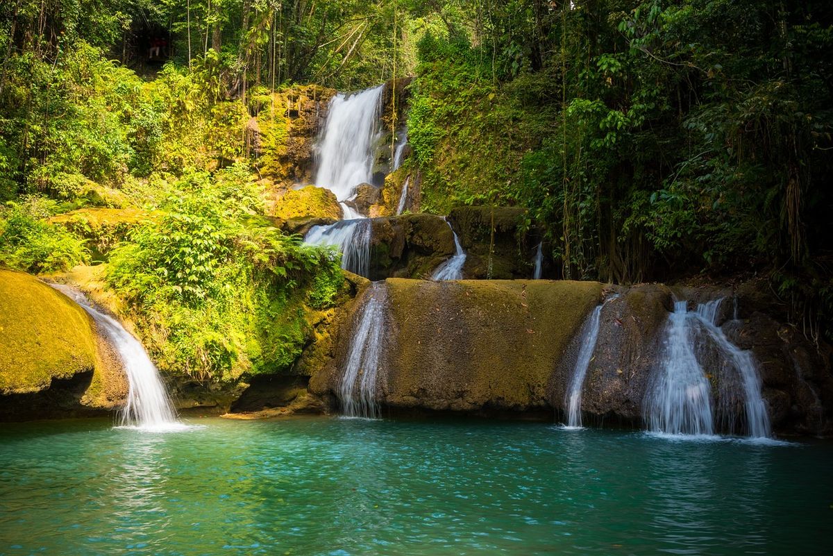 En el marco de EPTUR, Jamaica y GMS invitan a los mexicanos a explorar las selvas tropicales con la exótica flora y fauna, sus cascadas y montañas.