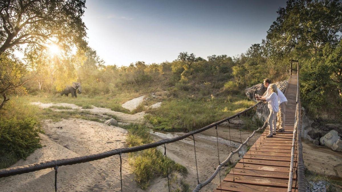 Safari de Gran Lujo con Belmond, una de las cautivantes propuestas de Sudameria.