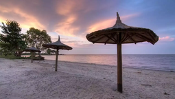 altText(Escapadas: visitá Punta Indio en una aventura por el río de la Plata)}