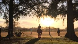 Día de campo y polo en la provincia de Buenos Aires: una experiencia única para turistas y locales.