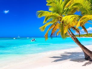 Caribe