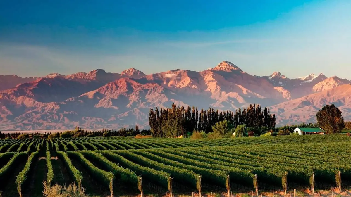 Mendoza sorprende a los viajeros con su increíble variedad de propuestas. Mendoza sorprende a los viajeros con su increíble variedad de propuestas.