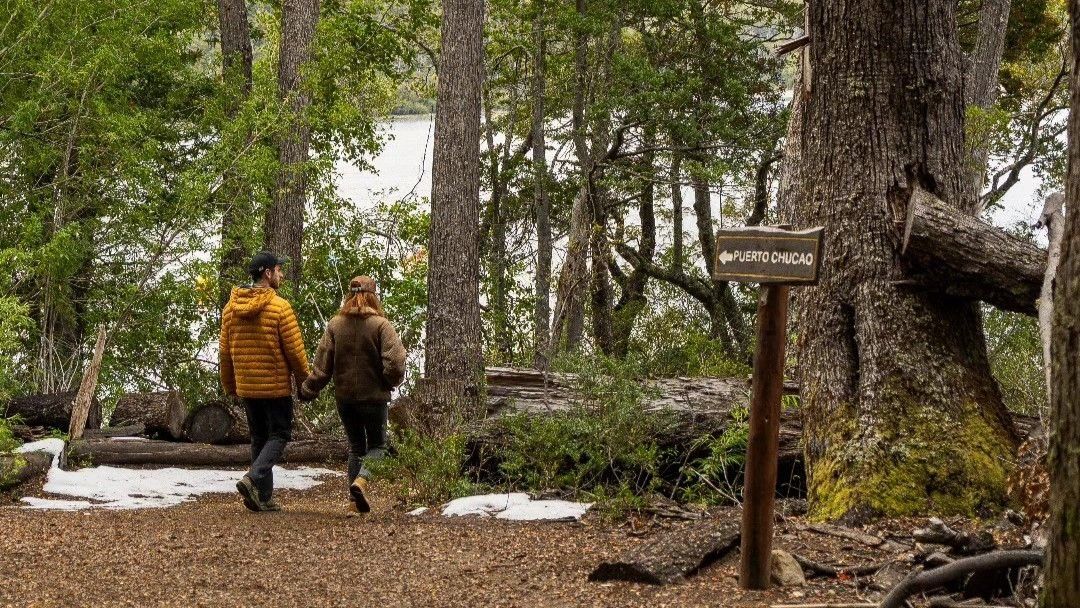 El increíble Parque Nacional Los Alerces es ideal para caminatas y senderismo disfrutando de la naturaleza. El increíble Parque Nacional Los Alerces es ideal para caminatas y senderismo disfrutando de la naturaleza.