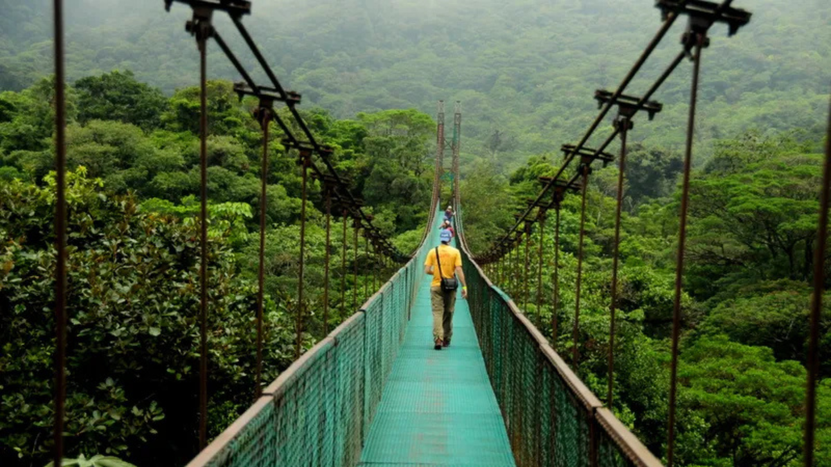 Explora la riqueza natural de Costa Rica: sus playas, bosques, selvas y volcanes.