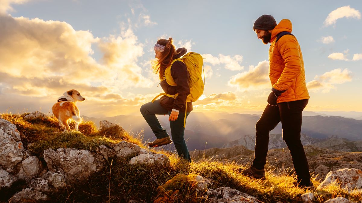 El senderismo con perros permite fortalecer el vínculo mientras disfrutan juntos del aire libre.