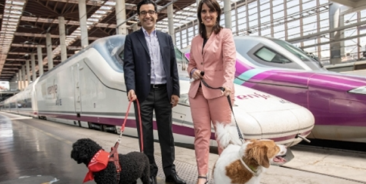 Mascotas en una estacion de tren antes de subir en un AVE Mascotas en una estacion de tren antes de subir en un AVE