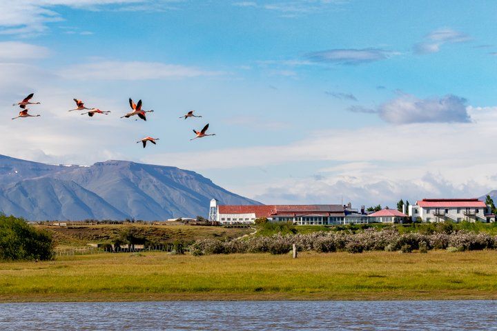 Las actividades rurales que se pueden realizar en El Calafate son diversas, entre las cuales se encuentran: demostración de arreo de ovejas con perros, demostración de esquila, caminatas por los alrededores, cabalgatas, la posibilidad de disfrutar de un almuerzo o cena y mucho más.