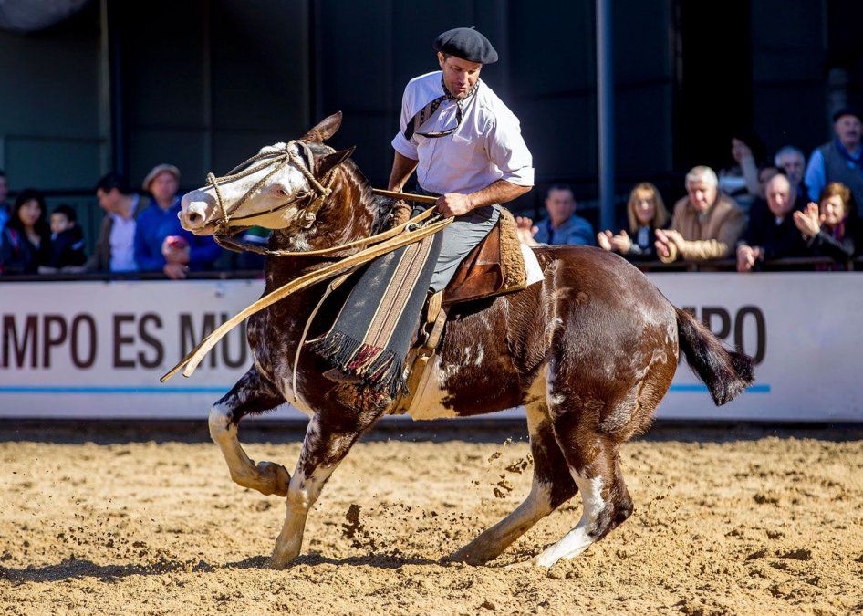 La Exposición Rural es un clásico del predio de Palermo que se celebra durante las vacaciones de invierno. La Exposición Rural es un clásico del predio de Palermo que se celebra durante las vacaciones de invierno.