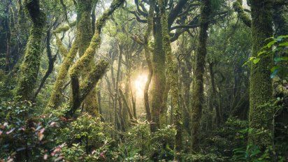 El misterioso lugar de la Costa Atlántica que es famoso por sus extrañas energías