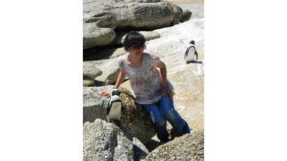 Los pingüinos se convirtieron en el atractivo impensado