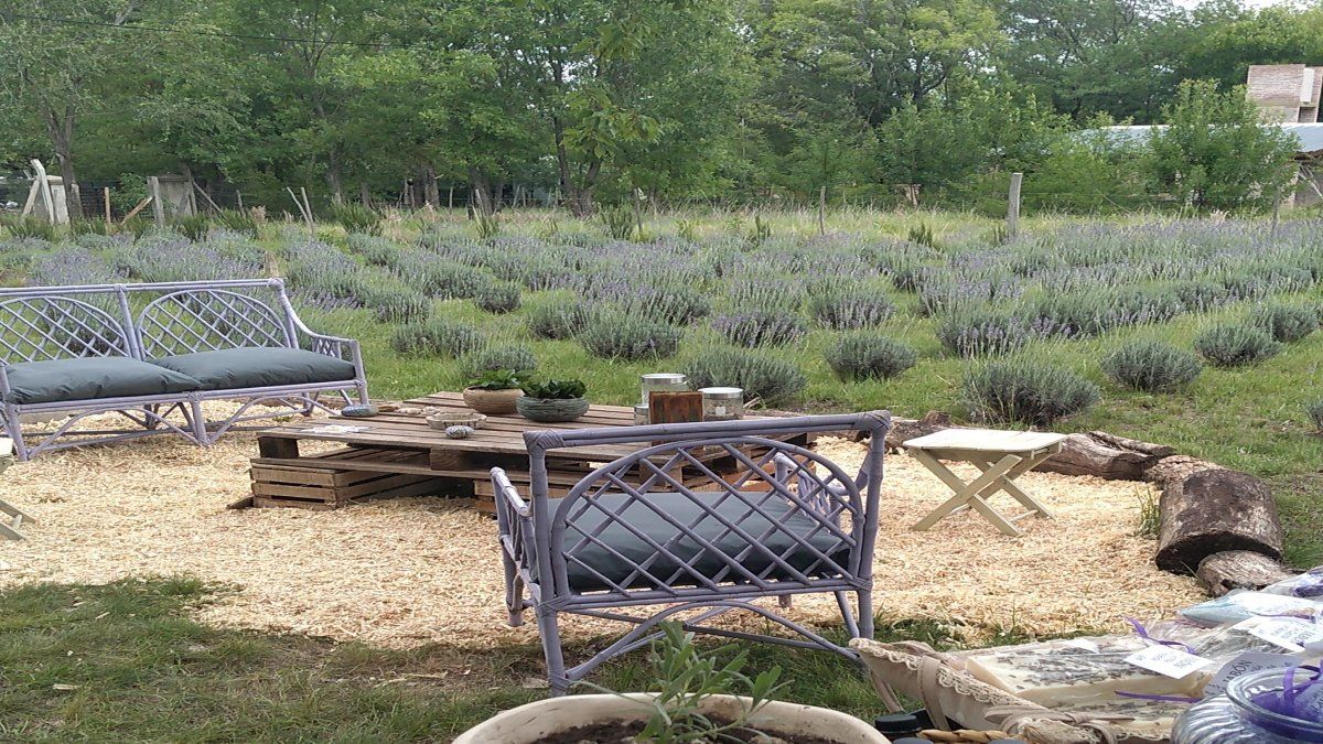 Quien vaya a Córdoba unos días puede aprovechar para disfrutar una 