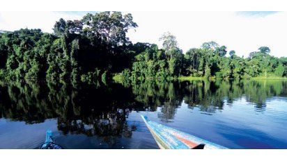 Tambopata: la selva menos explorada de Perú