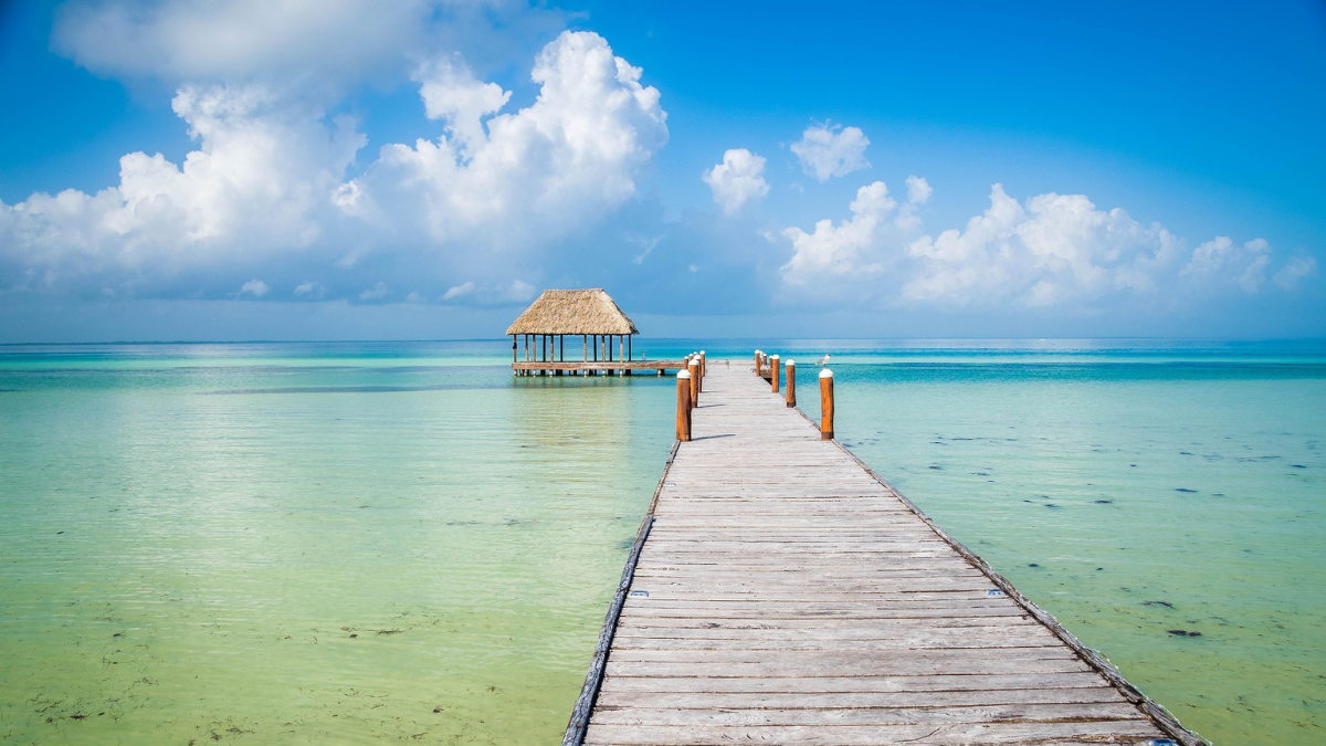 Holbox es perfecto para quienes buscan playas de ensueño, naturaleza y un ambiente relajado. Holbox es perfecto para quienes buscan playas de ensueño, naturaleza y un ambiente relajado.