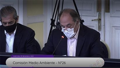 Lo que esperan los empresarios de la nueva Constitución