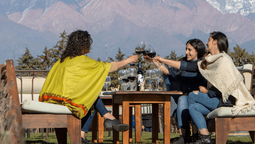 altText(Escapadas: cómo disfrutar de las bodegas y del buen vino de Mendoza sin manejar)}