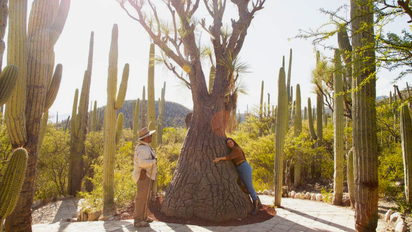 Puebla recibió el reconocimiento como mejor destino turístico de México.