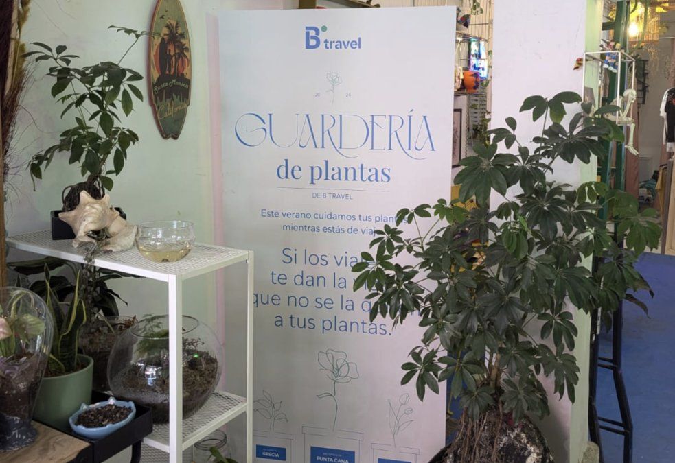 Interior de la floristeria adherida a la iniciativa Guarderia de plantas de B Travel.