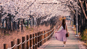 Descubre la belleza, la historia y la cultura de estos tres países de Asia que te enamorarán.